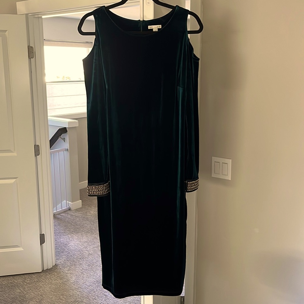 Gorgeous velvet dress!